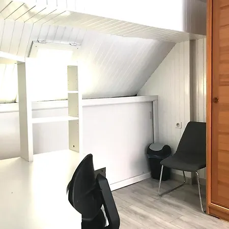Apartment Le Square Albert - Duplex - Hypercentre - Clim Vichy